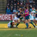 Zebre_Parma-Benetton_2024-12-28_dm_1639