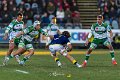 Zebre_Parma-Benetton_2024-12-28_dm_1644