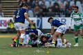Zebre_Parma-Benetton_2024-12-28_dm_1648