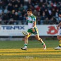 Zebre_Parma-Benetton_2024-12-28_dm_1673
