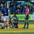 Zebre_Parma-Benetton_2024-12-28_dm_1681