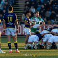 Zebre_Parma-Benetton_2024-12-28_dm_1683