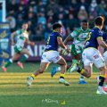 Zebre_Parma-Benetton_2024-12-28_dm_1693