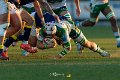Zebre_Parma-Benetton_2024-12-28_dm_1725
