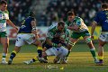 Zebre_Parma-Benetton_2024-12-28_dm_1735