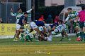 Zebre_Parma-Benetton_2024-12-28_dm_1760