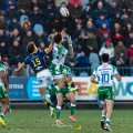 Zebre_Parma-Benetton_2024-12-28_dm_1766