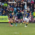 Zebre_Parma-Benetton_2024-12-28_dm_1793