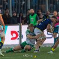 Zebre_Parma-Benetton_2024-12-28_dm_1856
