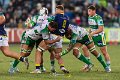 Zebre_Parma-Benetton_2024-12-28_dm_1864