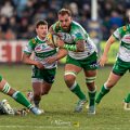 Zebre_Parma-Benetton_2024-12-28_dm_1866