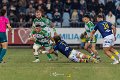 Zebre_Parma-Benetton_2024-12-28_dm_1909