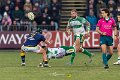 Zebre_Parma-Benetton_2024-12-28_dm_1911