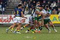 Zebre_Parma-Benetton_2024-12-28_dm_1939
