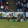 Zebre_Parma-Benetton_2024-12-28_dm_1955