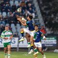 Zebre_Parma-Benetton_2024-12-28_dm_1957