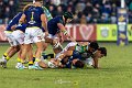 Zebre_Parma-Benetton_2024-12-28_dm_1972
