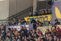 Zebre_Parma-Benetton_2024-12-28_dm_1982