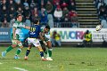 Zebre_Parma-Benetton_2024-12-28_dm_2024