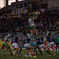 Zebre_Parma-Benetton_2024-12-28_dm_2077
