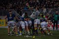 Zebre_Parma-Benetton_2024-12-28_dm_2081