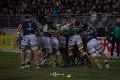 Zebre_Parma-Benetton_2024-12-28_dm_2083
