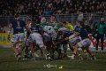 Zebre_Parma-Benetton_2024-12-28_dm_2085