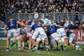 Zebre_Parma-Benetton_2024-12-28_dm_2107
