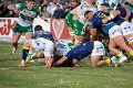 Zebre_Parma-Benetton_2024-12-28_dm_2119