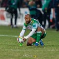 Zebre_Parma-Benetton_2024-12-28_dm_2135