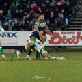 Zebre_Parma-Benetton_2024-12-28_dm_2158