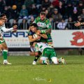 Zebre_Parma-Benetton_2024-12-28_dm_2160