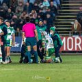 Zebre_Parma-Benetton_2024-12-28_dm_2166